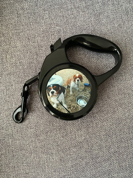 Hondenles met foto of tekst